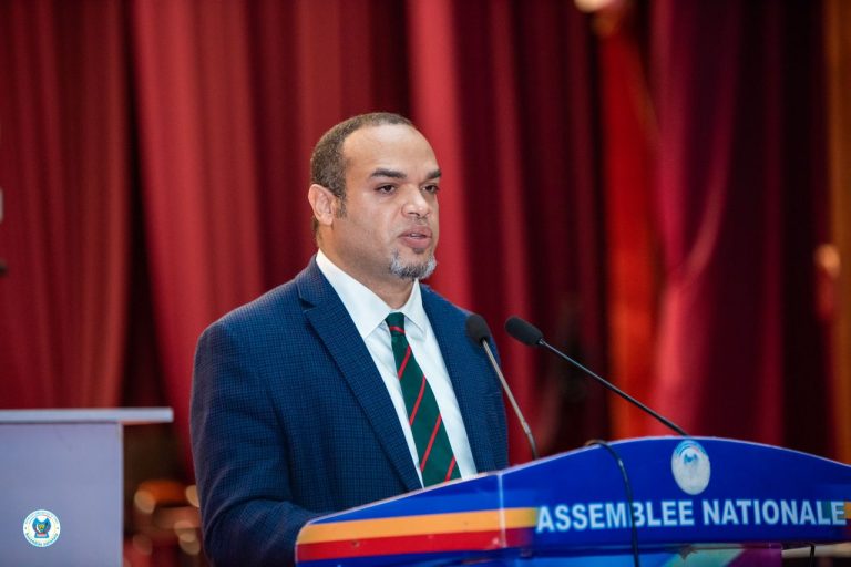 Assemblée nationale : Le directeur général de la SNEL SA sur une chaise éjectable