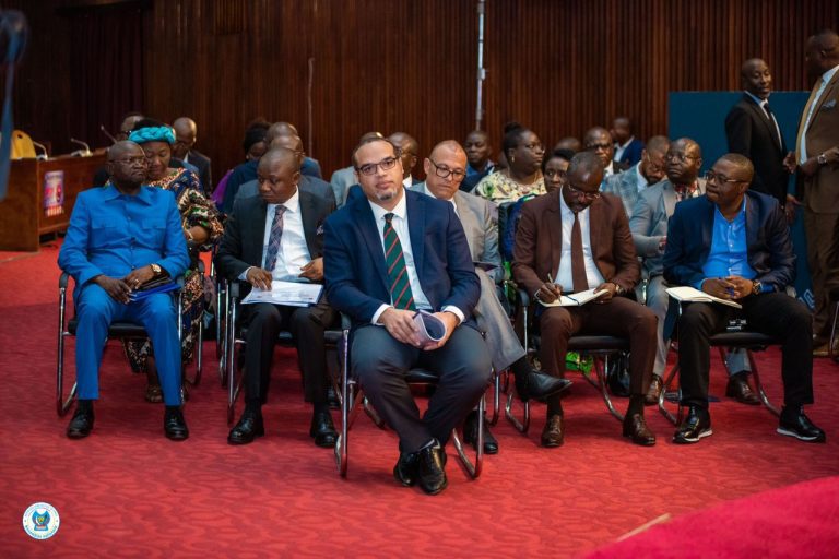 RDC-AN : La plénière décide de la révocation du DG de la SNEL SA dans les 48 heures