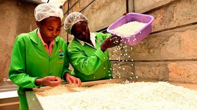 RDC-Crise de maïs : La Zambie décide d’asphyxier les provinces Sud de la RDC (The East African)