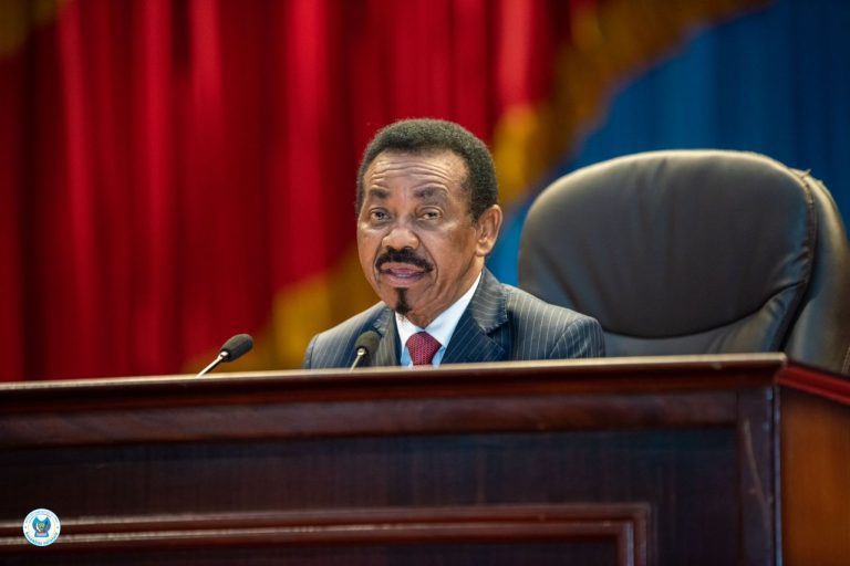 RDC-AN : La plénière adopte six projets de lois de ratification d&rsquo;accords et conventions de crédi, prêt et financement