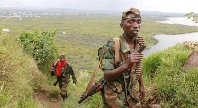 RDC-Nord-Kivu : Les terroristes du M23 exécutent 3 personnes à Lubwe Sud et emportent 17 vaches