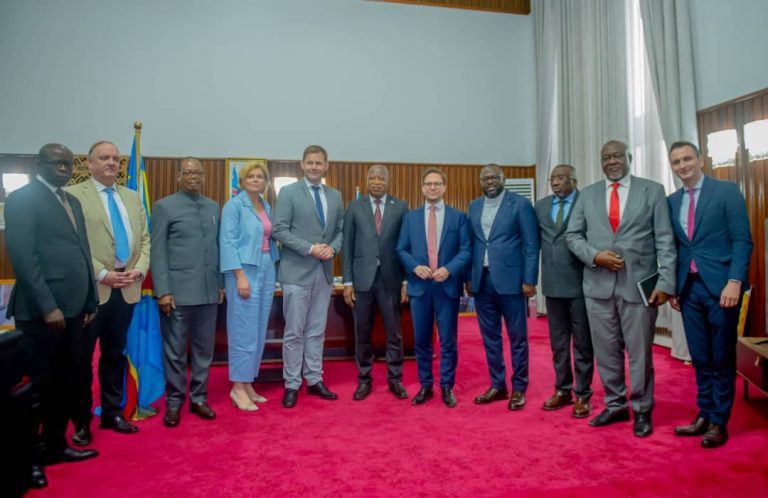 RDC-Parlement : Les Commissions permanentes Défense et Sécurité en discussion avec les parlementaires allemands sur la situation sécuritaire de l&rsquo;Est