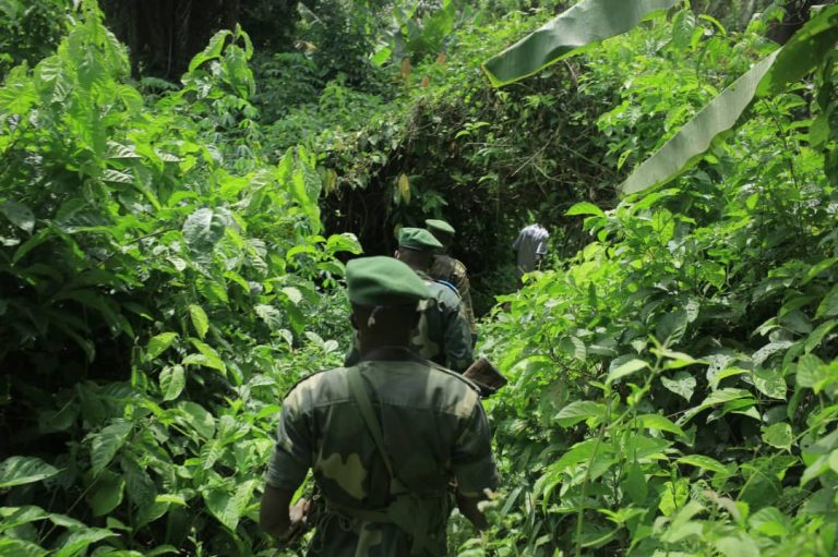 Beni-Bunia: Les FARDC libèrent 3 kidnappés entre les mains des ADF/MTM