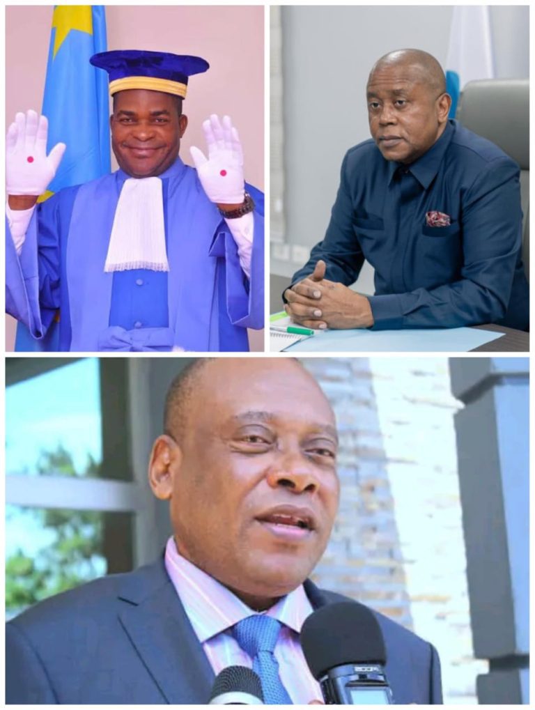 RDC: « La CENI et la Cour Constitutionnelle actuelles nous paraissent mieux outillées et plus indépendantes que les précédentes » (Steve Mbikayi)