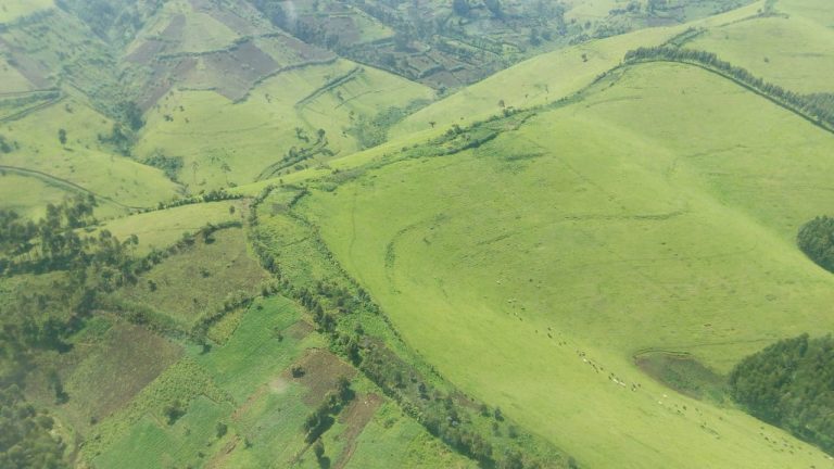 Rutshuru : les terroristes du M23 réoccupent Kishishe