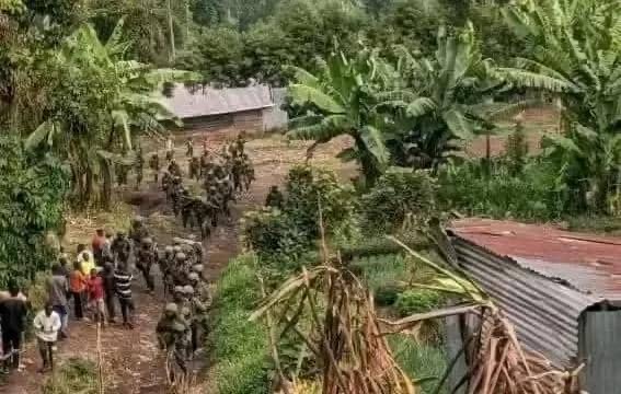 Sud-Kivu : Nzibira tombe aux mains du M23 après de violents affrontements