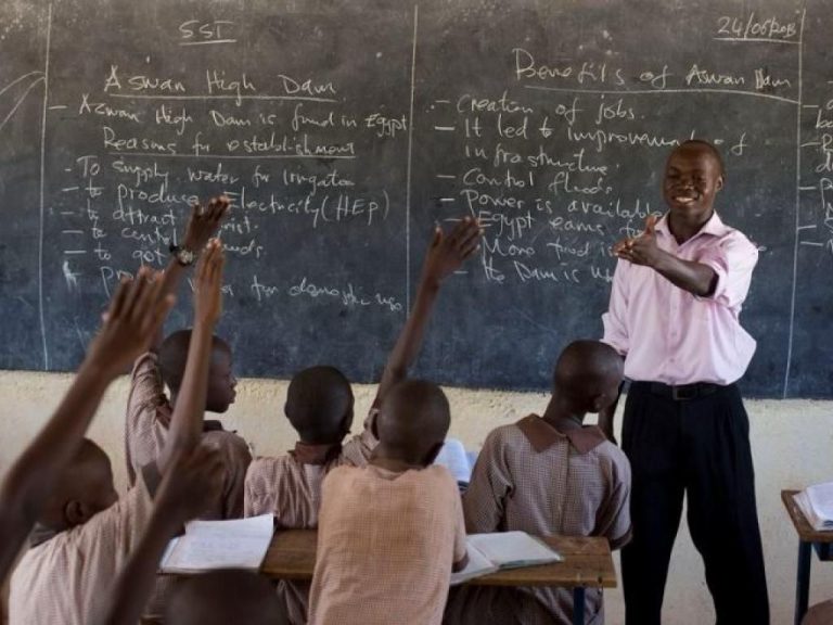 Ituri : 38 enseignants abandonnent l’école pour la culture du cacao
