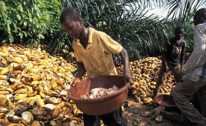 Est de la RDC : Des enfants exploités dans la contrebande du cacao vers les pays voisins
