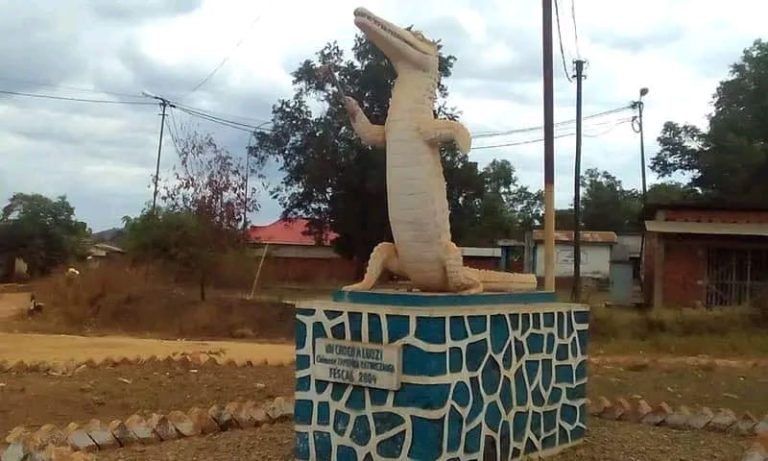 Kongo Central : Plus de 500 réfugiés congolais de Brazzaville franchissent la frontière à Luozi après les violences de Minduli