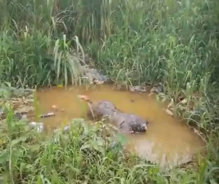 Kinshasa : un corps sans vie repêché dans la rivière Kalamu à Selembao