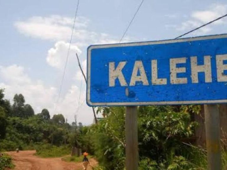 Sud-Kivu : Plus de 70 cas de malnutrition sévère par mois enregistrés à Kalonge (Kalehe)