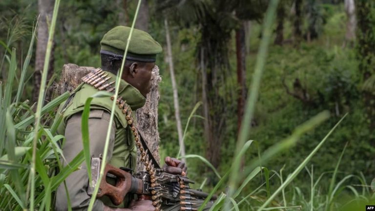 Est de la RDC : Au moins 73 civils tués par les ADF en janvier 2026, selon un rapport d’Ebuteli