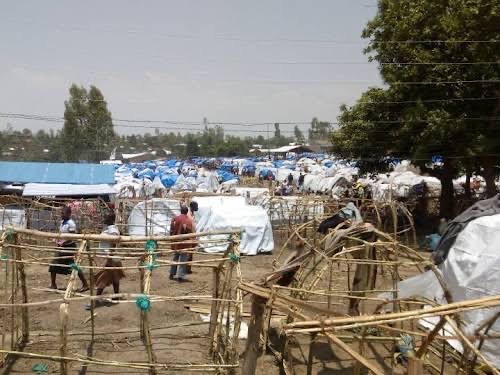 Ituri : Plus de 78 000 personnes déplacées en détresse dans le territoire de Djugu
