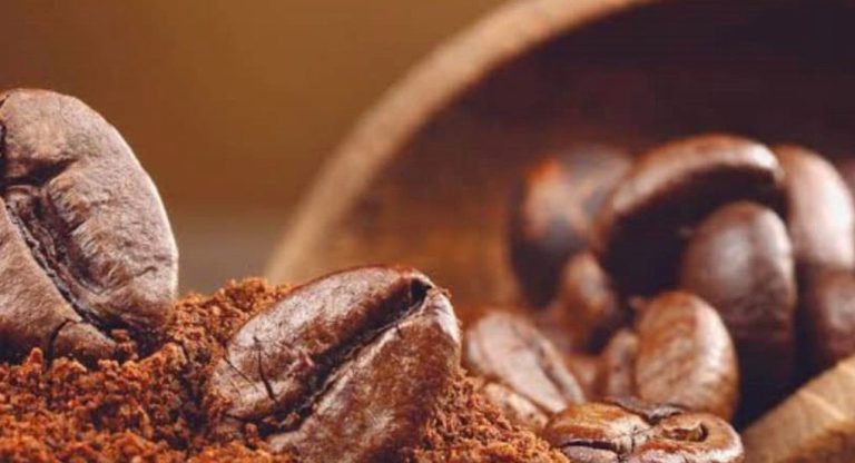 RDC : le prix du café arabica chute de 6,03 USD à 5,26 USD en une semaine
