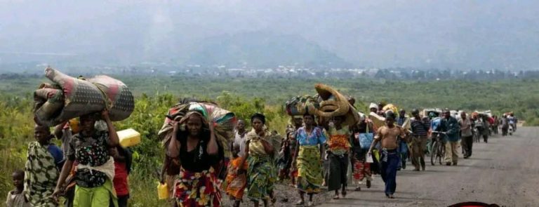 Kwango : près de 3 000 Congolais expulsés d’Angola en situation critique à Tembo