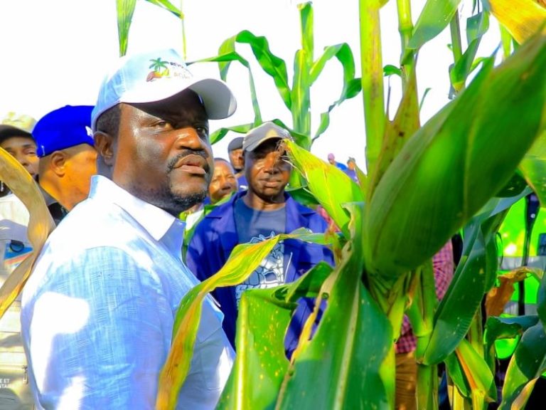 Campagne agricole 2025-2026 : Le ministre de l’Agriculture supervise les projets à Mbanza-Ngungu