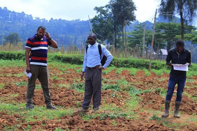 RDC : Le ministère national de l’Agriculture en mission au Nord-Kivu pour soutenir les producteurs locaux