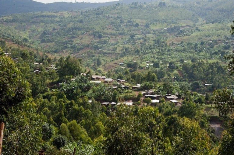 Sud-Kivu : L&rsquo;armée inflige de lourdes pertes aux éléments du M23 lors des affrontements dans les hauts plateaux de Fizi