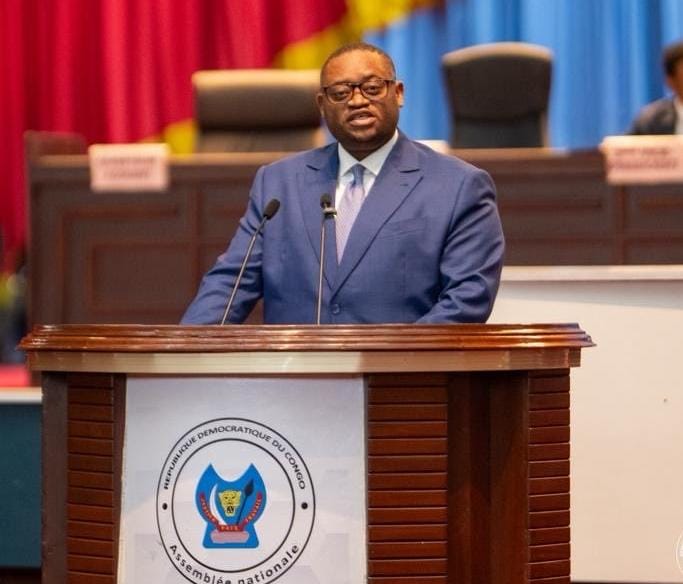 RDC : l’Assemblée nationale déclare recevables deux projets de loi de Doudou Fwamba sur des financements de 150 millions USD avec la BADEA