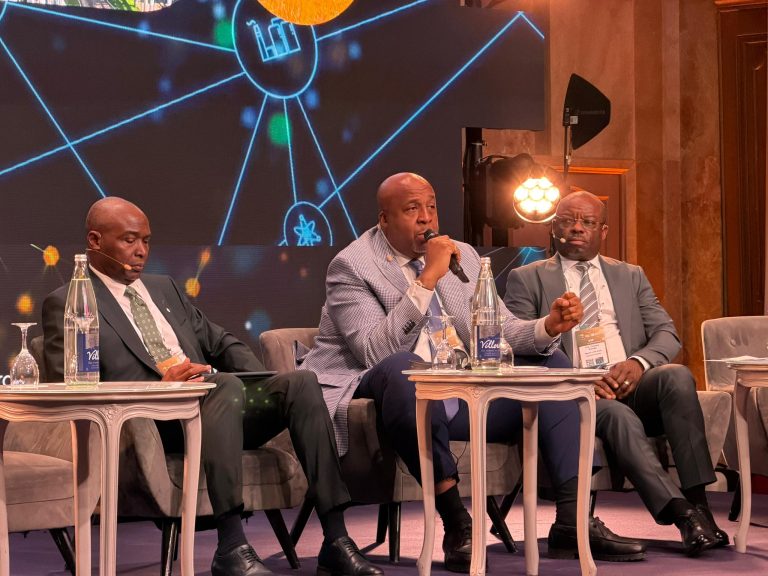 RDC : 167 000 MW de potentiel hydroélectrique, Sakombi Molendo appelle à passer à l’action