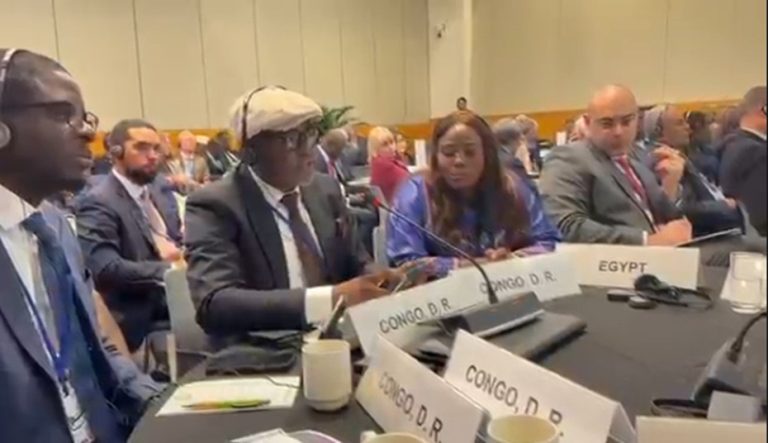 Assemblée nationale : Le député Jean-Louis Kalamba porte la voix du Parlement congolais au Printemps des institutions de Bretton Woods à Washington