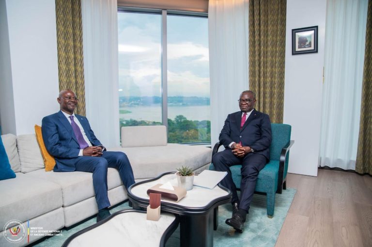 Kinshasa accueille le ministre de la Défense du Congo pour finaliser un accord militaire