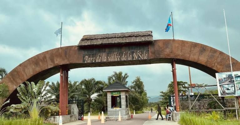 Rumeurs autour de Kingakati : Un agent du Parc de la Vallée de la N’Sele rétablit la vérité