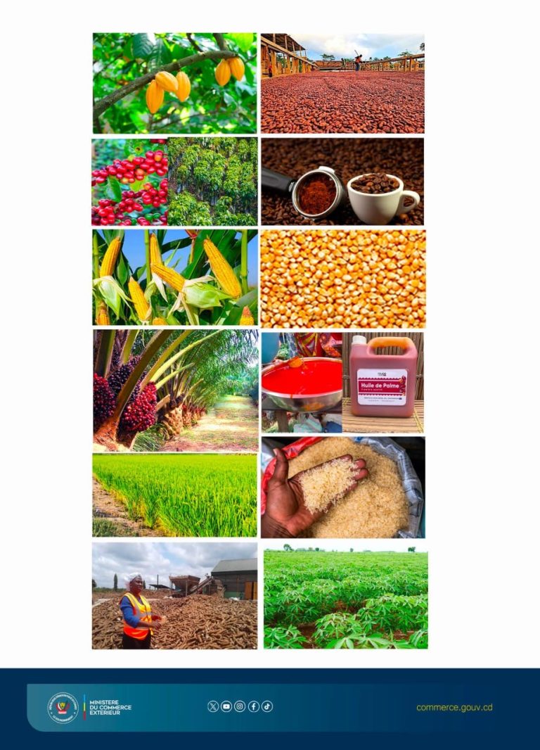 RDC : 25 millions USD mobilisés pour relancer l’agriculture et protéger l’industrie locale