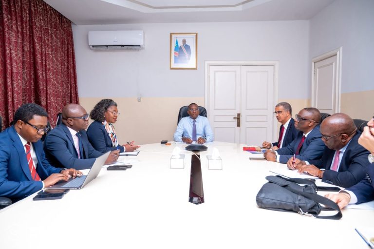 RDC : La BAD confirme son appui financier au recensement général de la population