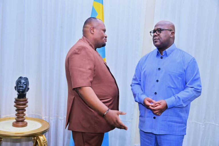 Kinshasa : Daniel Bumba expose à Félix Tshisekedi les avancées en matière de salubrité urbaine