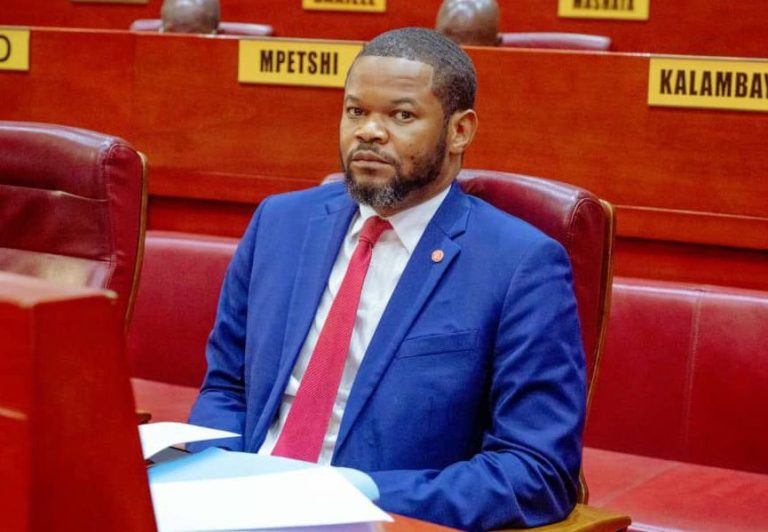 Sénat : Joseph Ngalamulume interpelle la Fonction publique et la SNEL sur la gestion des agents et l’électricité