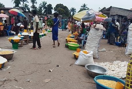 Kwilu : à Gungu, le sac de manioc passe de 60.000 à 100.000 FC suite à la dégradation des routes rurales