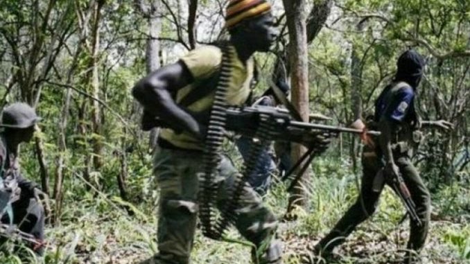 Ituri : sept civils tués dans une nouvelle attaque attribuée aux ADF à Mambasa