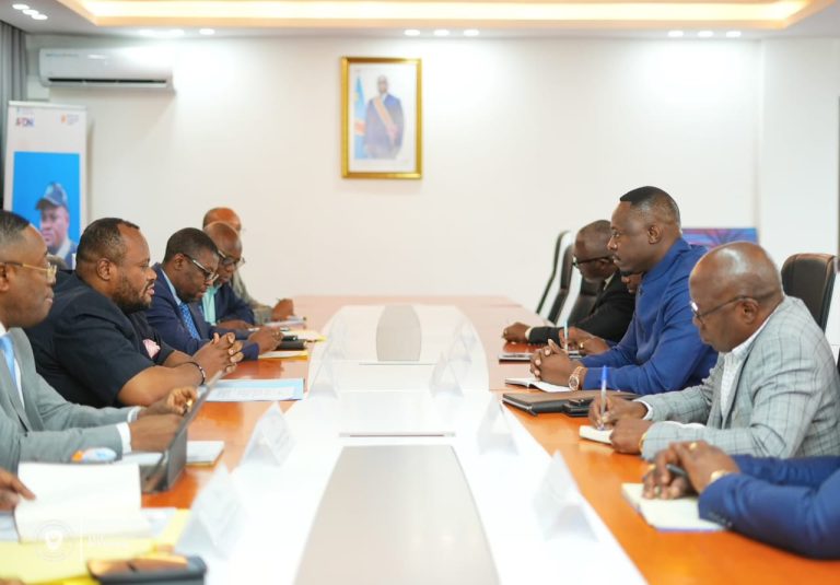 Éclairage public à Kinshasa : Daniel Bumba et la SNEL annoncent un projet conjoint