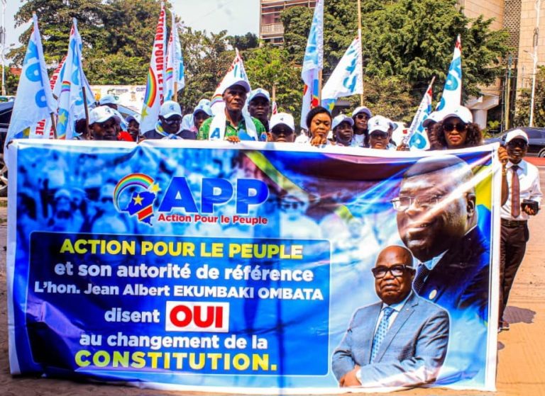Révision constitutionnelle : l’APP propose la suppression du Sénat et des Assemblées provinciales
